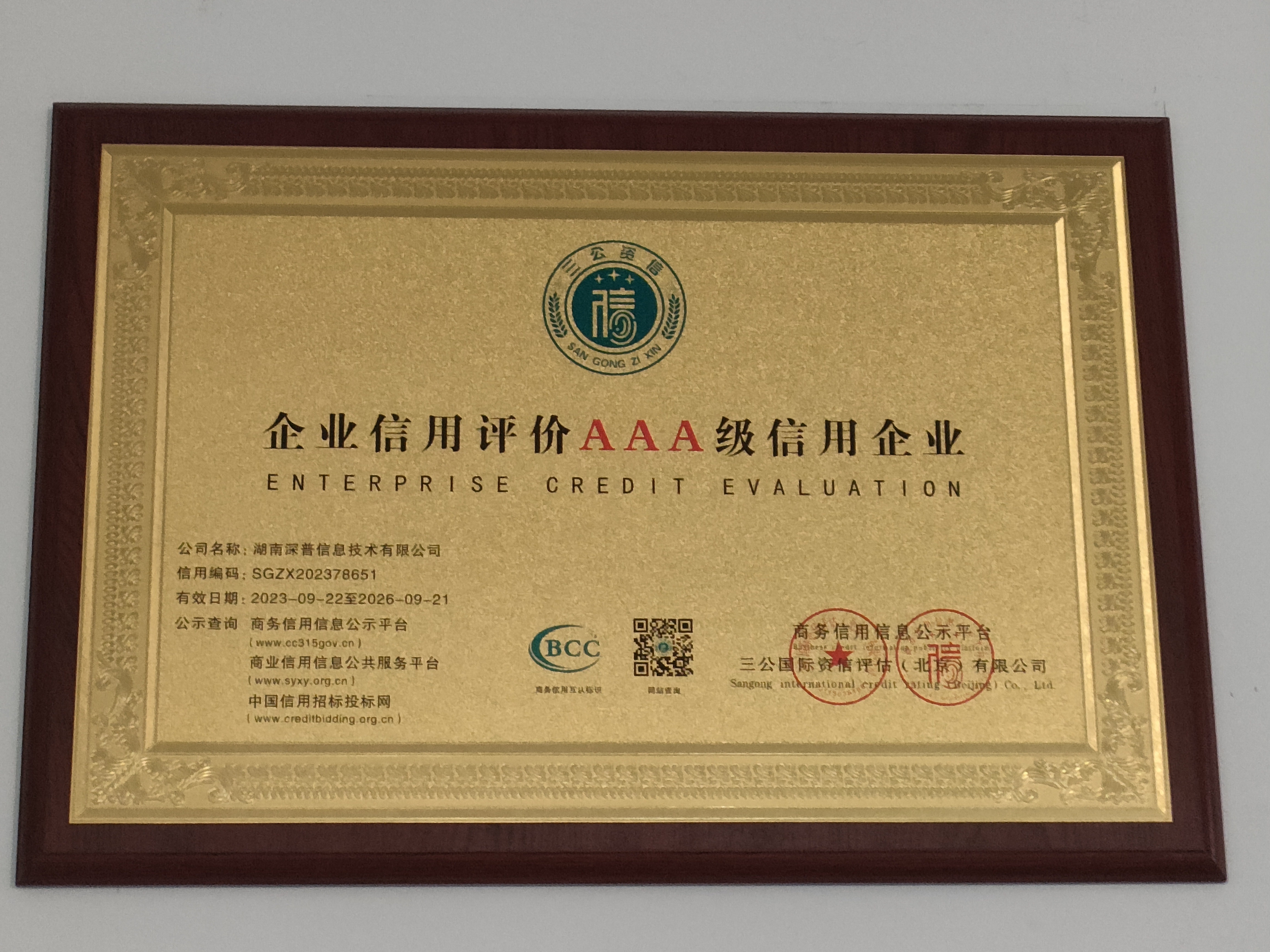 企業(yè)信用評價(jià)AAA級(jí)信用企業(yè)